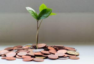 Pflanze wächst aus Kleingeld von Studienkredit